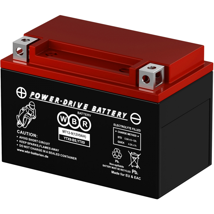Аккумулятор 6МТС-9 WBR МТ12-9 (YTX9-BS)