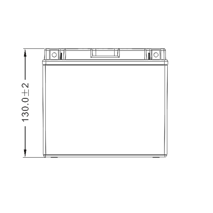 Аккумулятор 6МТС-12 WBR МТ12-12-A (YTX12-BS)