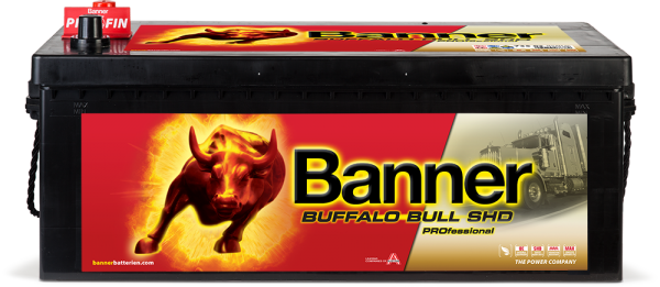 Аккумулятор 6СТ-225 «Banner Buffalo Bull HD PRO (SHD PRO 725 03)» евро