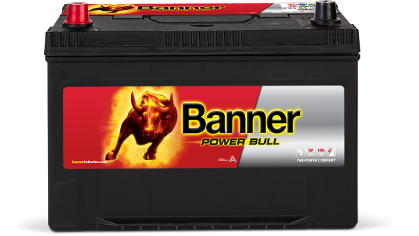 Аккумулятор 6СТ-95 «Banner Power Bull азия (P95 05 ASIA» п/п