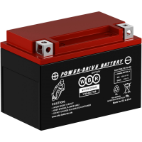 Аккумулятор 6МТС-9 WBR МТ12-9 (YTX9-BS)