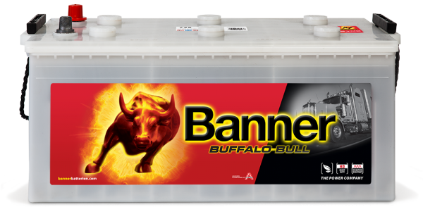Аккумулятор 6СТ-225 «Banner Buffalo Bull HD (725 11)» евро