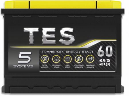 Аккумулятор 6СТ-65 «TES» п/п