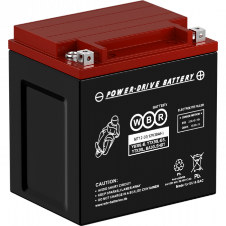 Аккумулятор 6МТС-30 WBR МТ12-30 (YB30L-B, YTX30L-BS, BA30LSHDT)