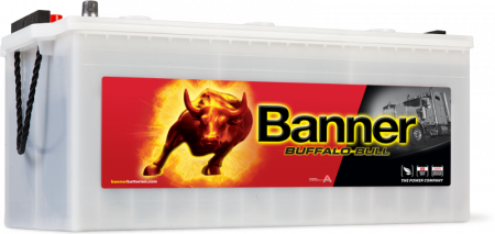 Аккумулятор 6СТ-225 «Banner Buffalo Bull HD (725 11)» евро