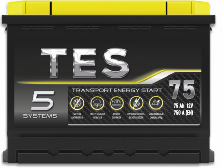 Аккумулятор 6СТ-75 «TES» п/п